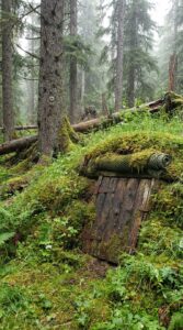 Survival_shelter_entrance_in_forest_13d4d2a4ae